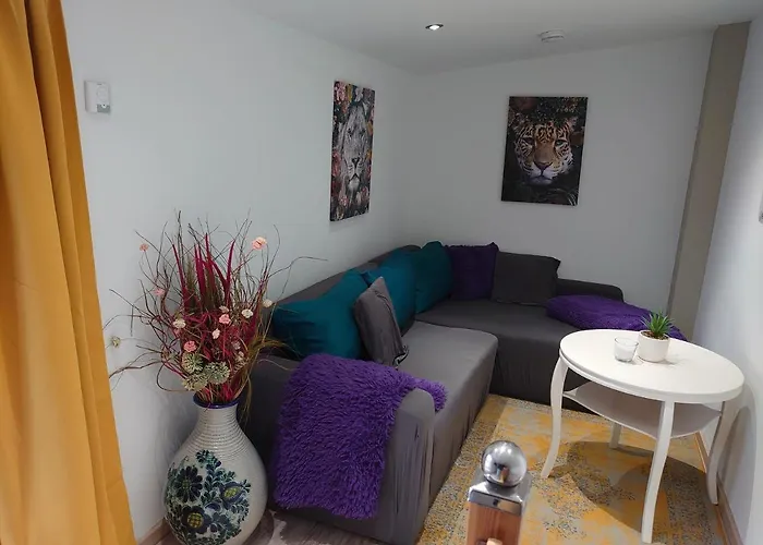 Kleine Gemütliche Im Tiny House Stil Lutherstadt Apartment Wittenberg